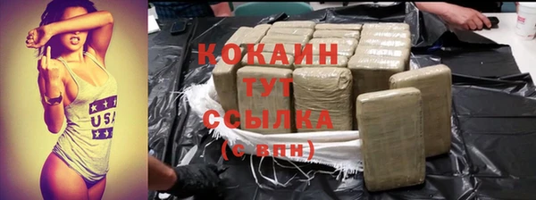 ешки Пересвет