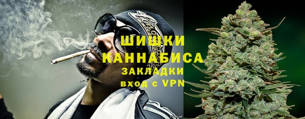 ешки Пересвет